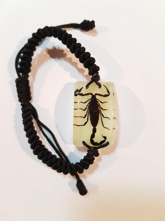 Geflochtenes Armband mit echtem, eingegossenen Schwarzen Skorpion