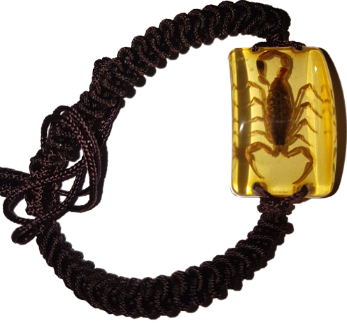 Geflochtenes Armband mit eingegossenem Goldener Skorpion