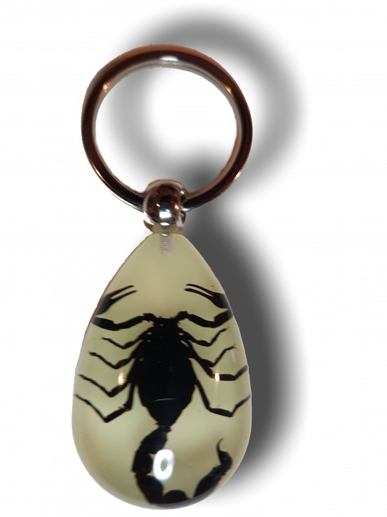 Schlüsselring mit eingegossenem Schwarzen Skorpion