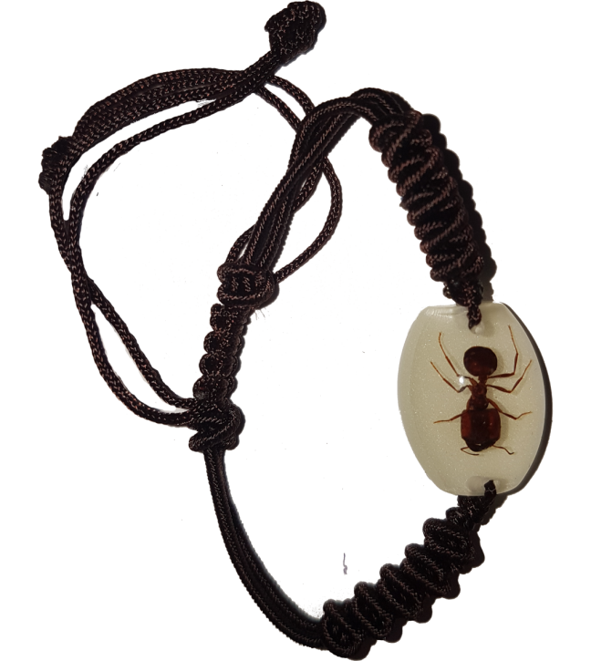 Geflochtenes Armband mit kleiner, eingegossener Ameise