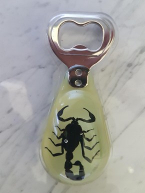 Echter Skorpion Präparat in Kunstharz als Flaschenöffner