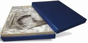 Zwei echte Hundertfüsser Centipede Präparat in Kunstharz Acrylblock
