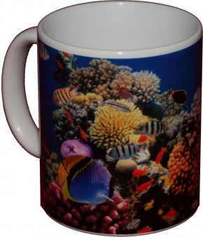 Fische im tropischen Korallenriff - Bild auf Fototasse Kaffeetasse Fotobecher